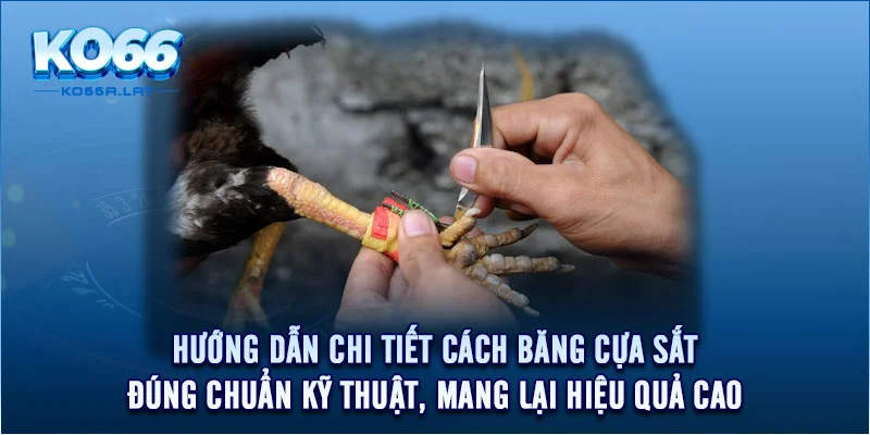 Hướng dẫn chi tiết cách băng cựa sắt đúng chuẩn kỹ thuật, mang lại hiệu quả cao