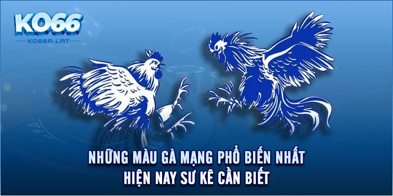 Những màu gà mạng phổ biến nhất hiện nay sư kê cần biết 