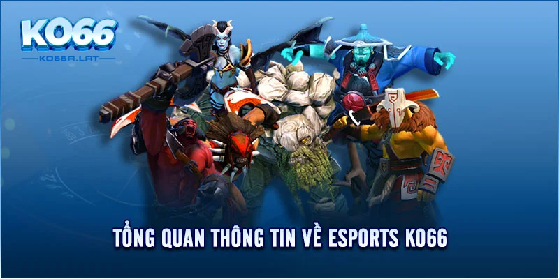 Tổng quan thông tin về Esports KO66 